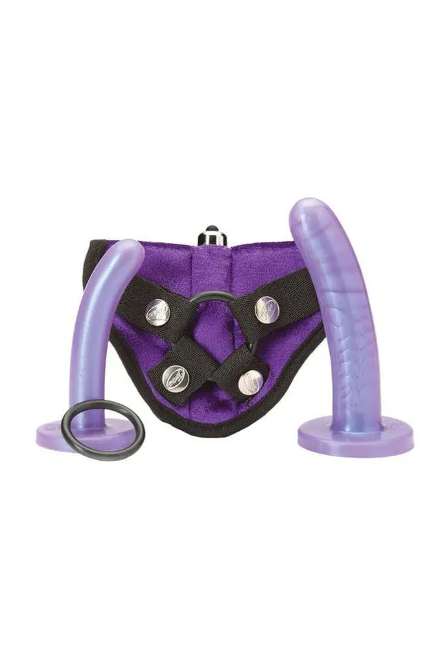 Tantus Bend Over Beginner StrapOn Kit Purple Tantus Female Sex Toys
