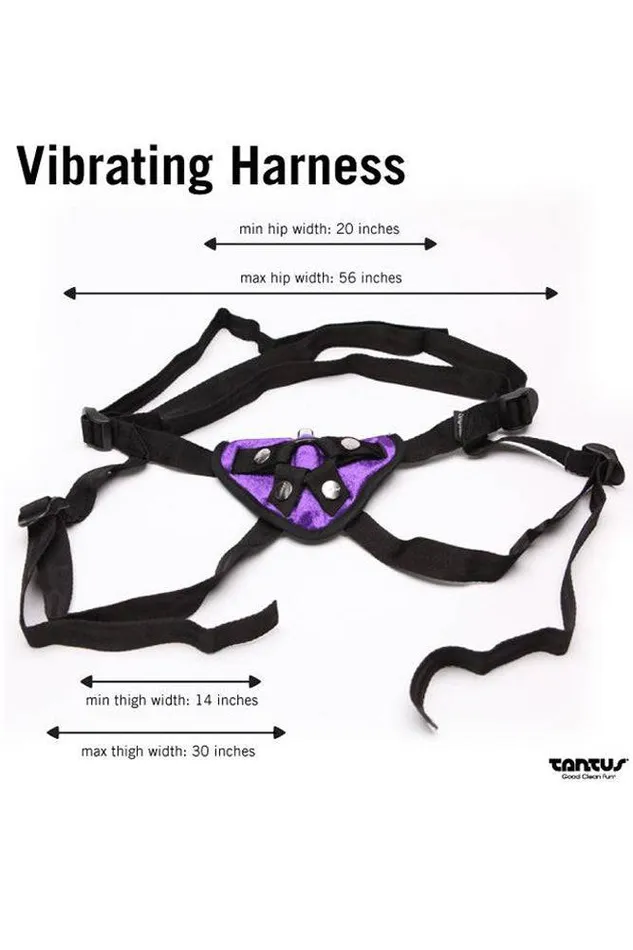Tantus Bend Over Beginner StrapOn Kit Purple Tantus Female Sex Toys