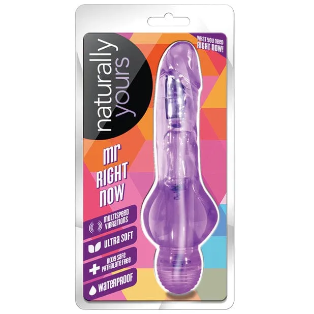 Blush Novelties Vibrators Blush Novelties Naturally Yours Mr Right Now Vibrating Realistic Dildo 65 Purple Blush Novelties Vibrators Blush Novelties Naturally Yours Mr Right Now Vibrating Realistic Dildo 65 Purple