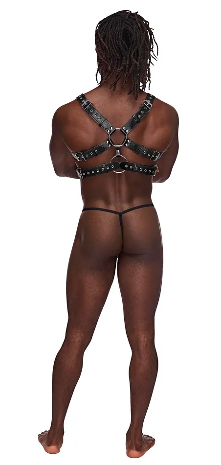 Mens Underwear Male Power Gemini Leather Harness One Size Black
