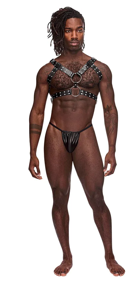 Mens Underwear Male Power Gemini Leather Harness One Size Black Mens Underwear Male Power Gemini Leather Harness One Size Black