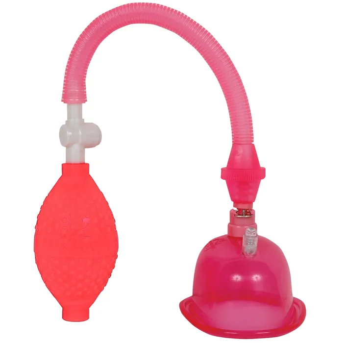 Doc Johnson Female Sex Toys Pussy Pump in a Bag Pink
