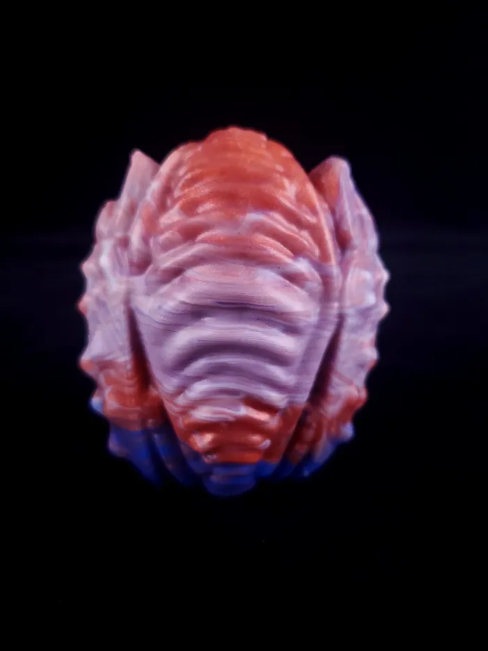 Extra Large Scarab Egg 0050 Gelatinous Creations Male Sex Toys Extra Large Scarab Egg 0050 Gelatinous Creations Male Sex Toys