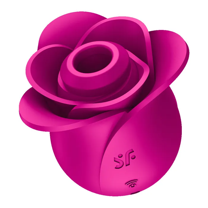 Female Sex Toys Satisfyer Pro 2 Classic Blossom Plum