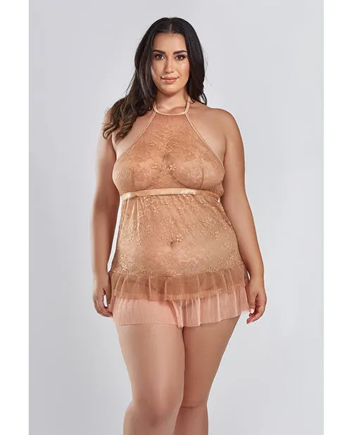 Icollection Lingerie Couples Amber Halter Lace Babydoll wTiered Pleated Mesh Skirt Hem GString Brown 1X Icollection Lingerie Couples Amber Halter Lace Babydoll wTiered Pleated Mesh Skirt Hem GString Brown 1X