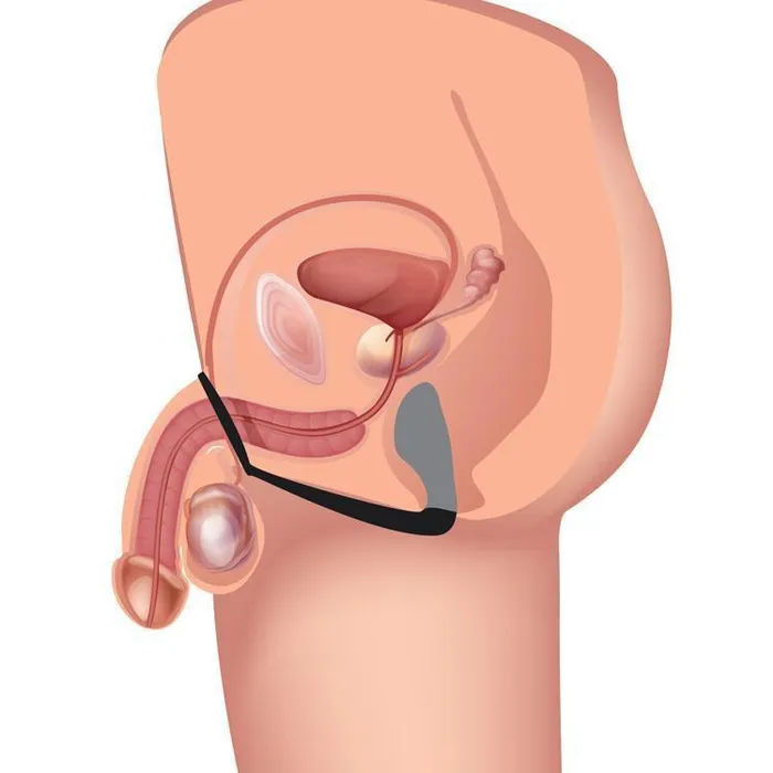 Male Sex Toys Prostatic Play Explorer II Prostate Stimulator and Cock Ring