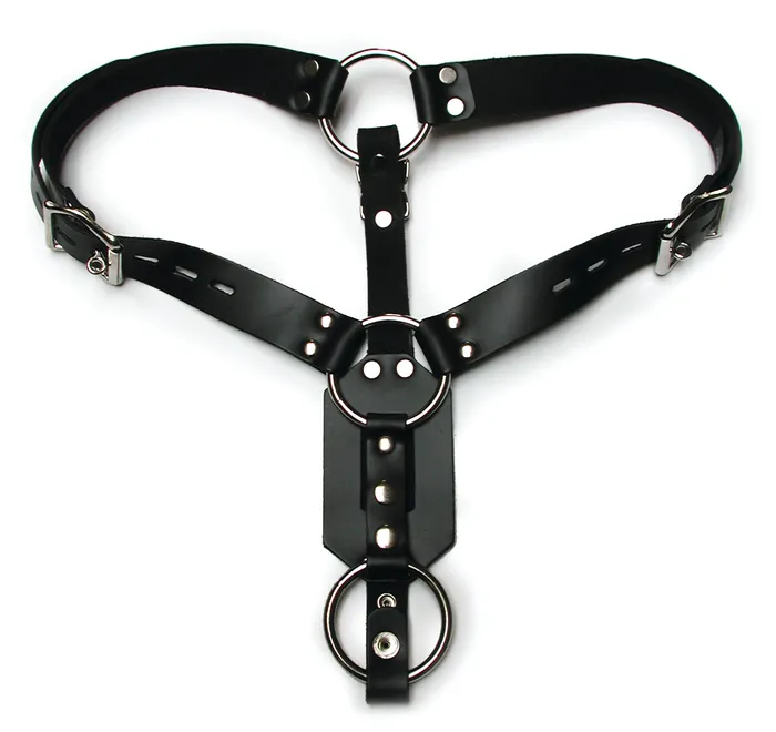 Male Sex Toys SimpleeDiscreet Butt Plug Harness WCOCK Ring