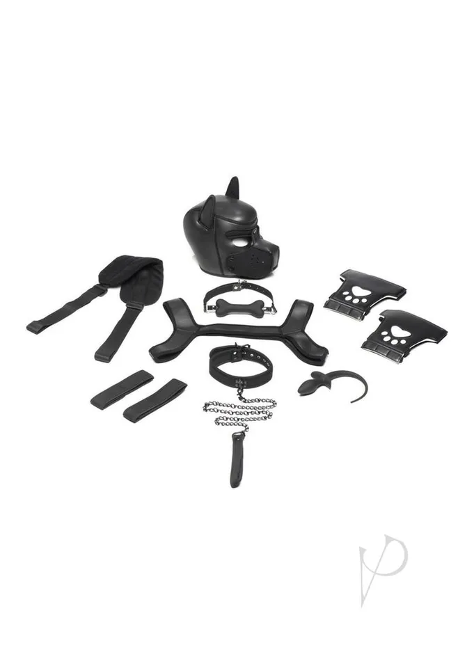 Master Series Deluxe Pup Arsenal Set Black Master Series Anal
