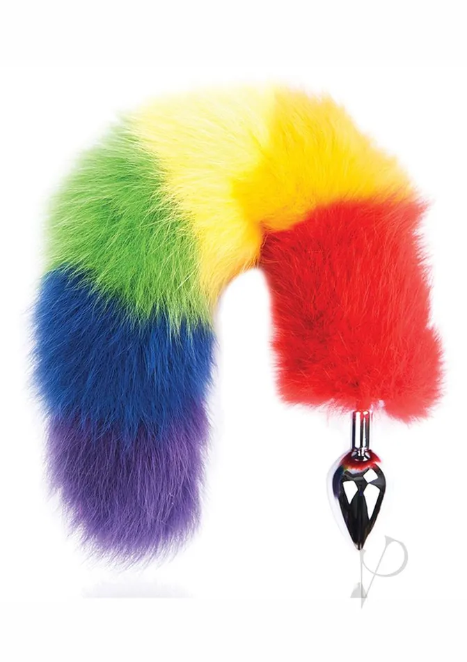 Rainbow Foxy Tail Pleasure Stainless Steel Plug Rainbow Anal