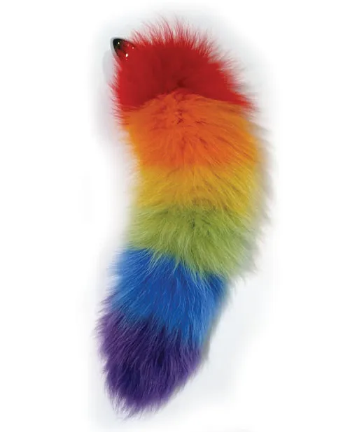 Rainbow Foxy Tail Pleasure Stainless Steel Plug Rainbow Anal