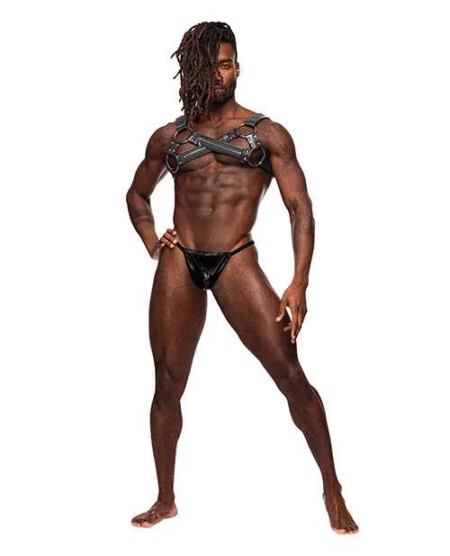 Restraints Male Power Virgo PU Leather Chest Harness wZipper Detail Black OS Restraints Male Power Virgo PU Leather Chest Harness wZipper Detail Black OS