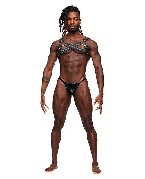 Restraints Male Power Virgo PU Leather Chest Harness wZipper Detail Black OS Restraints Male Power Virgo PU Leather Chest Harness wZipper Detail Black OS