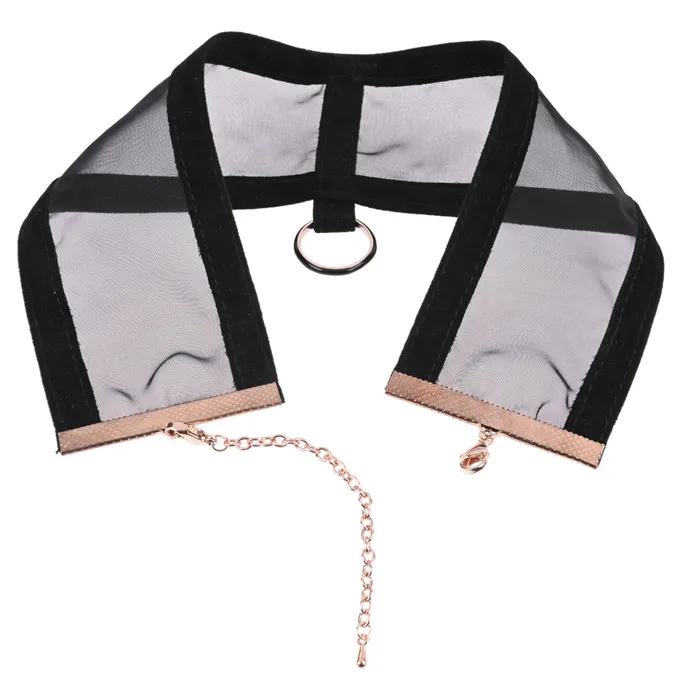 Sex Mischief Sheer Day Collar Sportsheets Couples