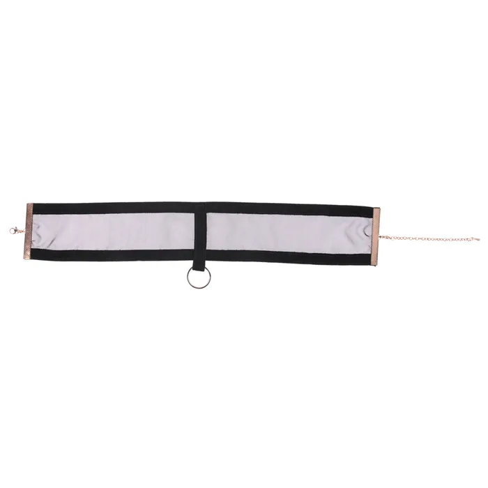Sex Mischief Sheer Day Collar Sportsheets Couples