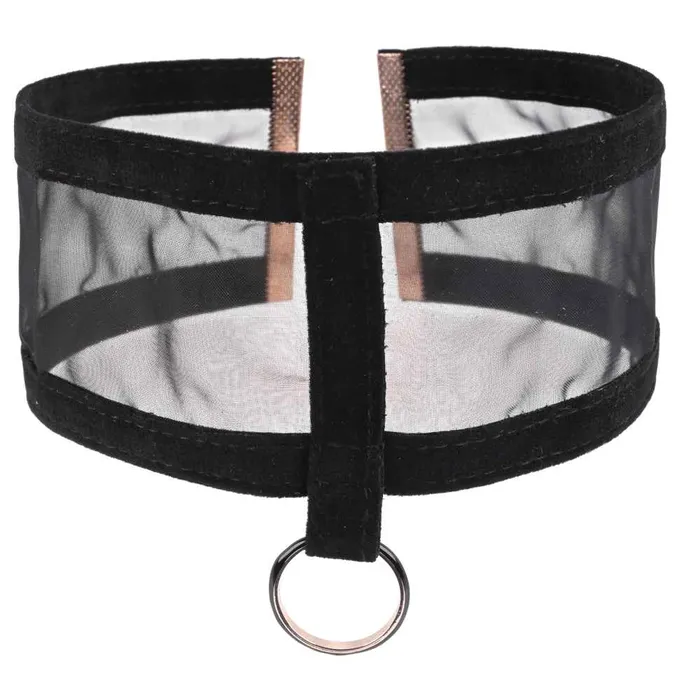 Sex Mischief Sheer Day Collar Sportsheets Couples
