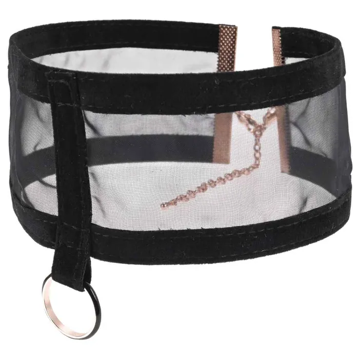 Sex Mischief Sheer Day Collar Sportsheets Couples