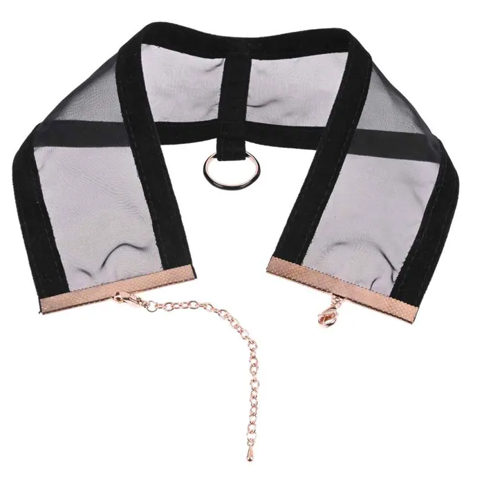 Sex Mischief Sheer Day Collar Sportsheets Couples