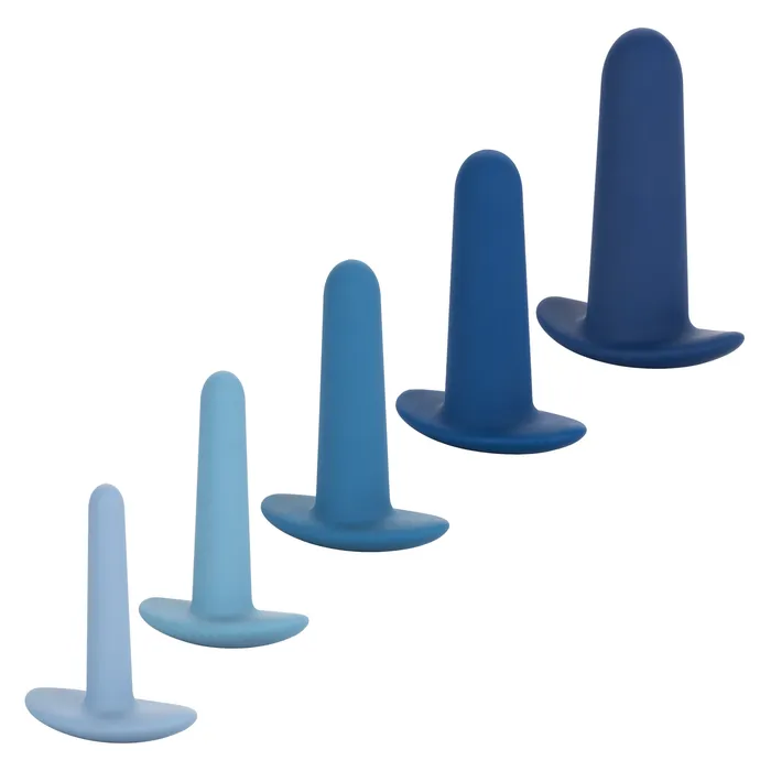 Anal TheyOlogy 5Piece Wearable Anal Training Set CalExotics