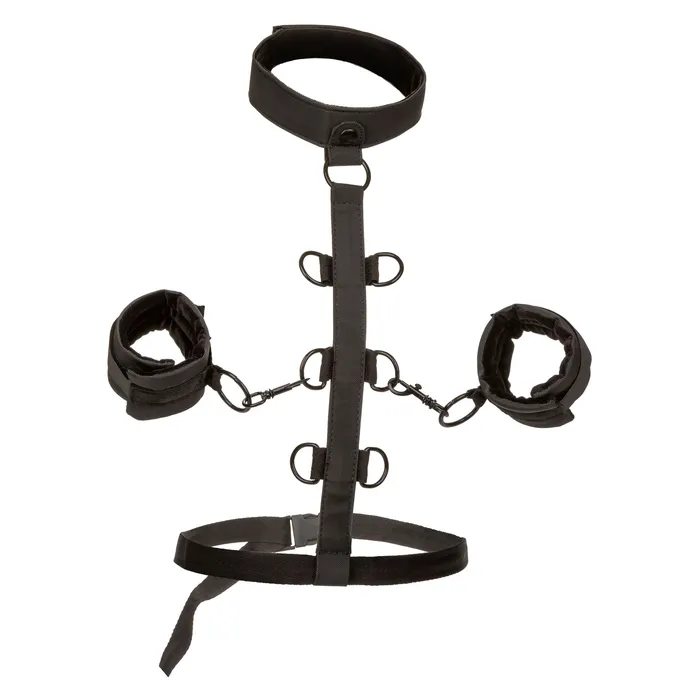 Boundless Collar Body Restraint Black CalExotics Anal