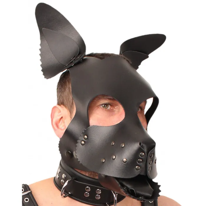 The Red Restraints Red Leather Puppy Dog Mask